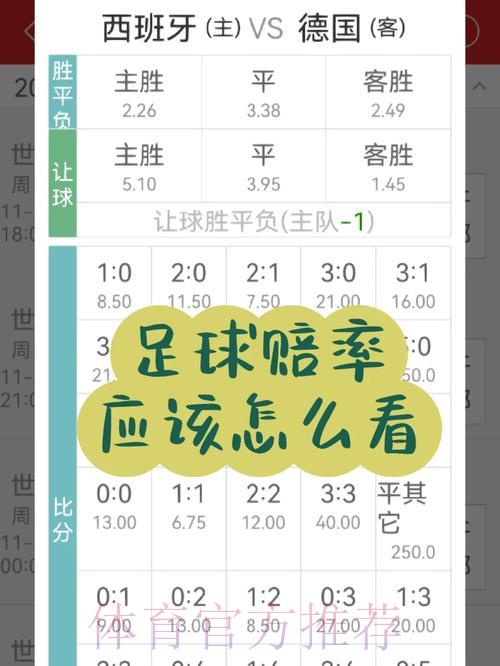 世界杯投注赔率全攻略：手把手教你看懂赔率